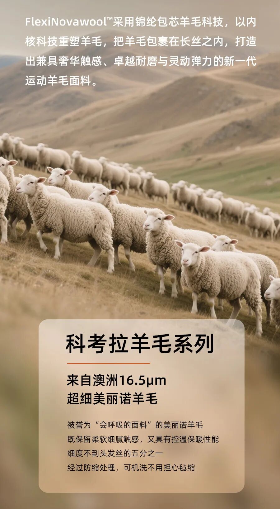 FlexiNovaWool™ 弹力星纬羊毛 · 图 5